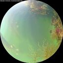 ./images/calvert/underwater/20260817/underwater20260817_095501M.jpg