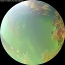 ./images/calvert/underwater/20260817/underwater20260817_100001M.jpg