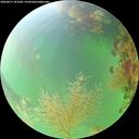 ./images/calvert/underwater/20260817/underwater20260817_101502M.jpg