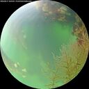 ./images/calvert/underwater/20260817/underwater20260817_102501M.jpg