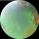 ./images/calvert/underwater/20260817/underwater20260817_103001M.jpg