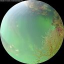 ./images/calvert/underwater/20260817/underwater20260817_103501M.jpg