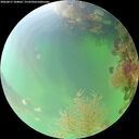 ./images/calvert/underwater/20260817/underwater20260817_104001M.jpg