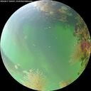 ./images/calvert/underwater/20260817/underwater20260817_104501M.jpg