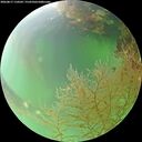 ./images/calvert/underwater/20260817/underwater20260817_110501M.jpg