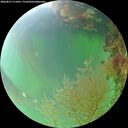 ./images/calvert/underwater/20260817/underwater20260817_111001M.jpg