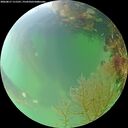 ./images/calvert/underwater/20260817/underwater20260817_111501M.jpg