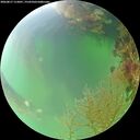 ./images/calvert/underwater/20260817/underwater20260817_112001M.jpg