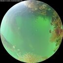 ./images/calvert/underwater/20260817/underwater20260817_114501M.jpg