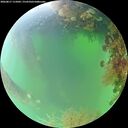 ./images/calvert/underwater/20260817/underwater20260817_115001M.jpg