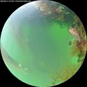 ./images/calvert/underwater/20260817/underwater20260817_115501M.jpg