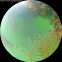 ./images/calvert/underwater/20260817/underwater20260817_120501M.jpg