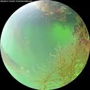 ./images/calvert/underwater/20260817/underwater20260817_121001M.jpg