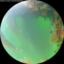 ./images/calvert/underwater/20260817/underwater20260817_122501M.jpg