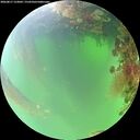 ./images/calvert/underwater/20260817/underwater20260817_123001M.jpg