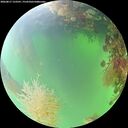 ./images/calvert/underwater/20260817/underwater20260817_123501M.jpg