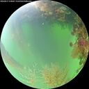 ./images/calvert/underwater/20260817/underwater20260817_124002M.jpg