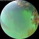 ./images/calvert/underwater/20260817/underwater20260817_124501M.jpg