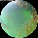 ./images/calvert/underwater/20260817/underwater20260817_125001M.jpg