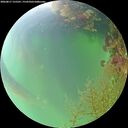 ./images/calvert/underwater/20260817/underwater20260817_125501M.jpg