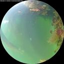 ./images/calvert/underwater/20260817/underwater20260817_130501M.jpg