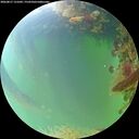 ./images/calvert/underwater/20260817/underwater20260817_131001M.jpg