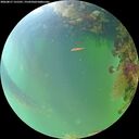 ./images/calvert/underwater/20260817/underwater20260817_131501M.jpg
