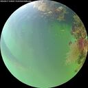 ./images/calvert/underwater/20260817/underwater20260817_134001M.jpg