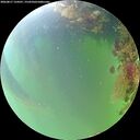 ./images/calvert/underwater/20260817/underwater20260817_134501M.jpg
