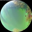 ./images/calvert/underwater/20260817/underwater20260817_135501M.jpg