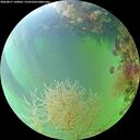 ./images/calvert/underwater/20260817/underwater20260817_140001M.jpg