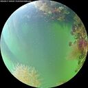./images/calvert/underwater/20260817/underwater20260817_140501M.jpg