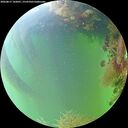 ./images/calvert/underwater/20260817/underwater20260817_142001M.jpg