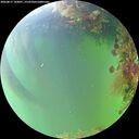 ./images/calvert/underwater/20260817/underwater20260817_143001M.jpg