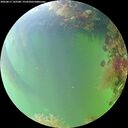 ./images/calvert/underwater/20260817/underwater20260817_143501M.jpg
