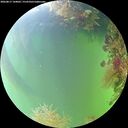 ./images/calvert/underwater/20260817/underwater20260817_144001M.jpg