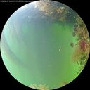 ./images/calvert/underwater/20260817/underwater20260817_144501M.jpg