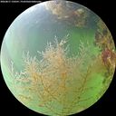 ./images/calvert/underwater/20260817/underwater20260817_150501M.jpg