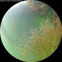 ./images/calvert/underwater/20260817/underwater20260817_151001M.jpg