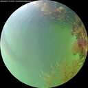 ./images/calvert/underwater/20260817/underwater20260817_151501M.jpg