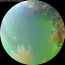 ./images/calvert/underwater/20260817/underwater20260817_152001M.jpg
