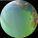 ./images/calvert/underwater/20260817/underwater20260817_152501M.jpg