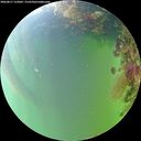 ./images/calvert/underwater/20260817/underwater20260817_153001M.jpg