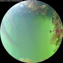 ./images/calvert/underwater/20260817/underwater20260817_154001M.jpg