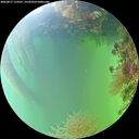 ./images/calvert/underwater/20260817/underwater20260817_154501M.jpg