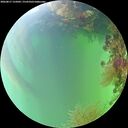 ./images/calvert/underwater/20260817/underwater20260817_155001M.jpg
