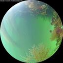 ./images/calvert/underwater/20260817/underwater20260817_160501M.jpg