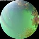 ./images/calvert/underwater/20260817/underwater20260817_161001M.jpg