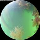 ./images/calvert/underwater/20260817/underwater20260817_161501M.jpg