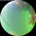 ./images/calvert/underwater/20260817/underwater20260817_162001M.jpg